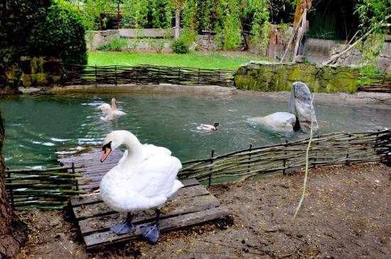 Ogród zoologiczny w Stropkovie